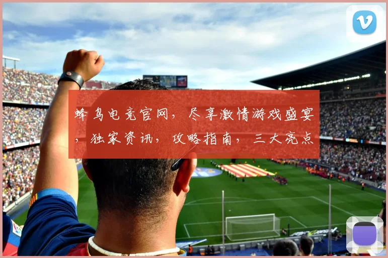 蜂鸟电竞官网，尽享激情游戏盛宴，独家资讯，攻略指南，三大亮点，助你畅游电竞世界