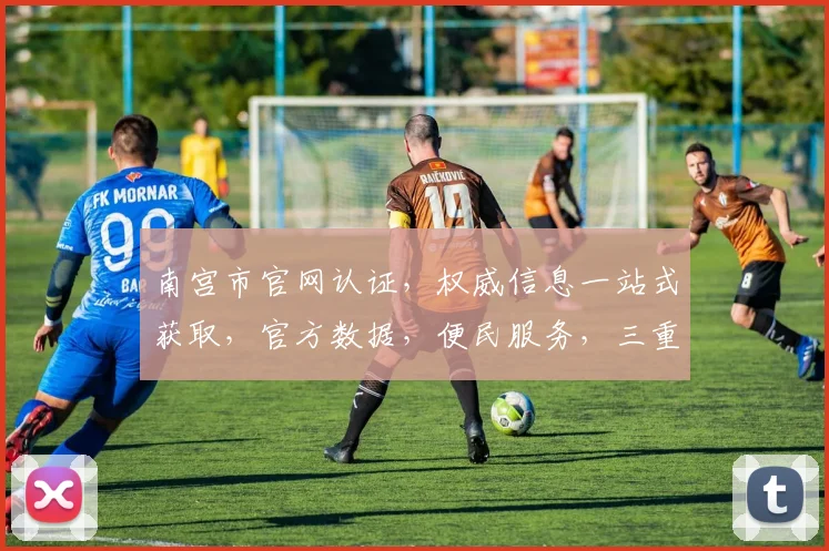 南宫市官网认证，权威信息一站式获取，官方数据，便民服务，三重保障，让您放心浏览
