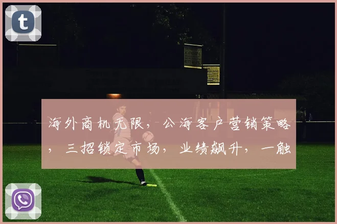 海外商机无限，公海客户营销策略，三招锁定市场，业绩飙升，一触即发，抢滩登陆