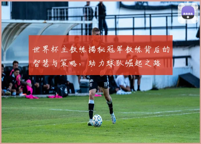 世界杯主教练揭秘冠军教练背后的智慧与策略，助力球队崛起之路