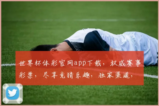 世界杯体彩官网app下载，权威赛事彩票，尽享竞猜乐趣，独家渠道，快来下载