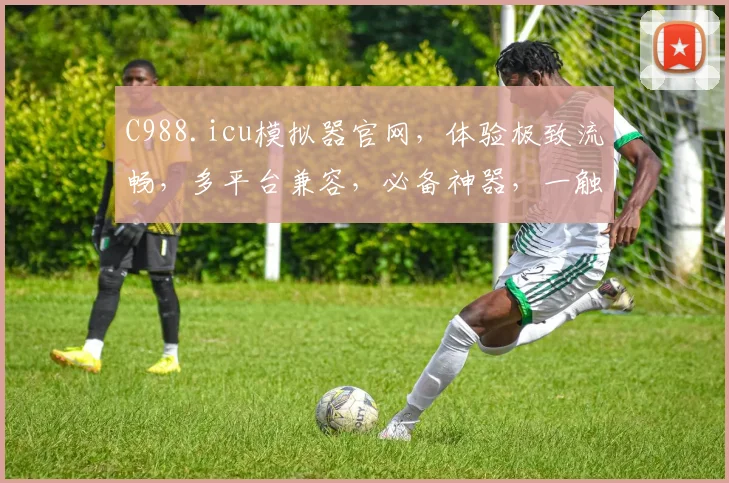 C988.icu模拟器官网，体验极致流畅，多平台兼容，必备神器，一触即达